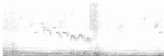 Принія жовточерева (підвид sonitans) - ML617067446