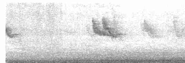 Anteojitos de Swinhoe - ML617067684