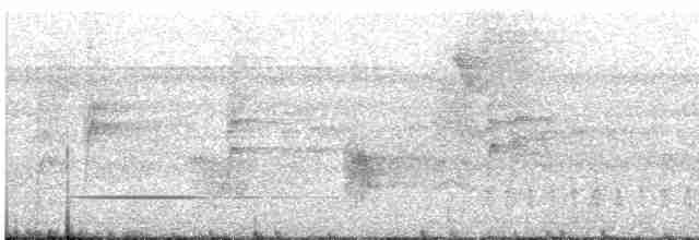 Cinereous Tinamou - ML617069261
