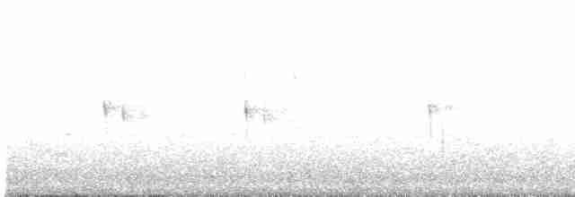 White-throated Treerunner - ML617069867