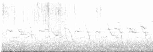 Great Grebe - ML617070274