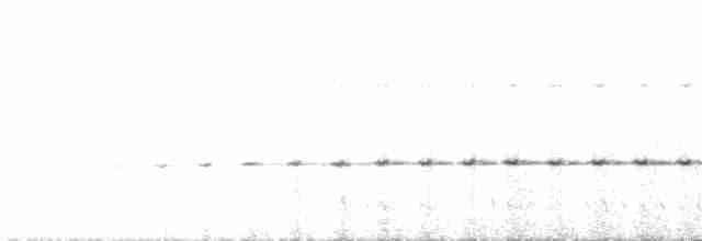 Пестрокрылый флейтист - ML617070389