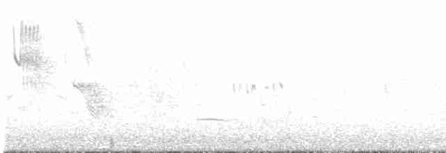 Long-tailed Meadowlark - ML617070727