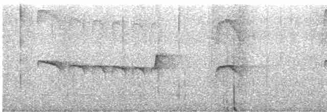 Тиран-карлик жовточеревий - ML617071177