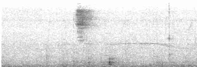 Kuzeyli Kara Yüzlü Kocabaş - ML617071310
