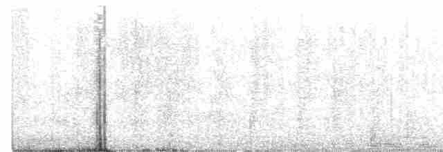 Montezuma Oropendulası - ML617072113