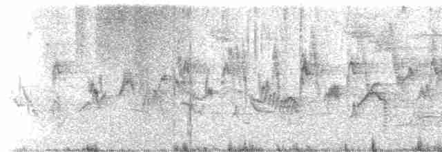 Amerika Çütresi (purpureus) - ML617075466