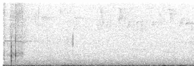 holub bledočelý - ML617075470