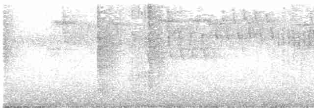 Зелоногрудый фиалкоух - ML617076010