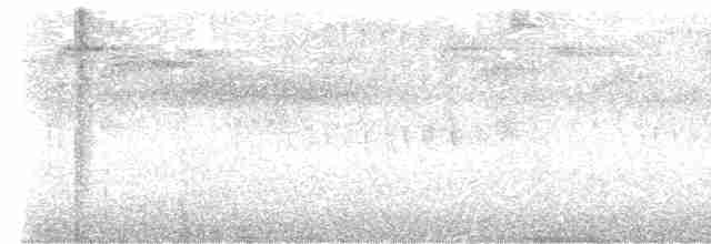 Бледнохвостый венценосец - ML617076037