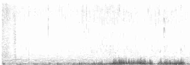 ארנריה אדמונית - ML617076818