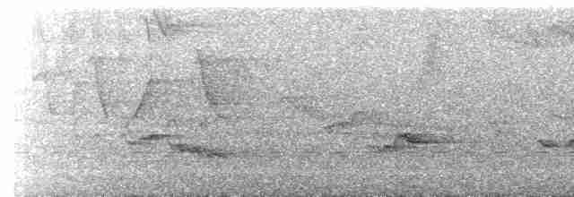 Зернолуск великий - ML617079398