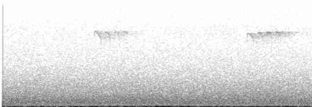 Tétras fuligineux - ML617080746