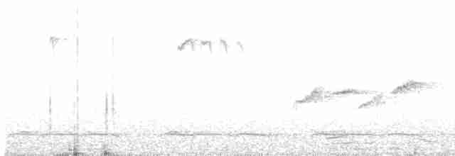 Gri Başlı Kanarya Sinekkapanı - ML617081165