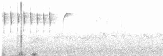 Weißbrauenschnäpper - ML617081548