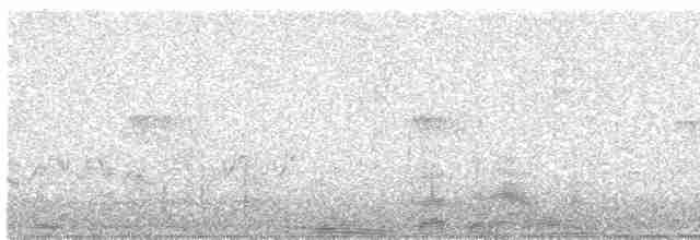 Chaparralgrasmücke - ML617081835