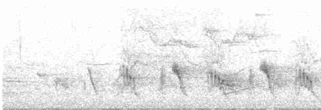 Вівчарик лісовий - ML617081960
