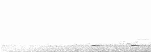 灰腳秧雞 - ML617084394