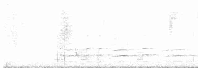 Tasmankrähenstar - ML617085322