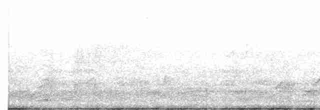 Дрізд-короткодзьоб Cвенсона - ML617085819