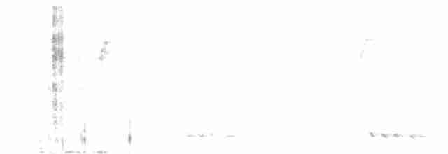 Траурная нектарница - ML617086475