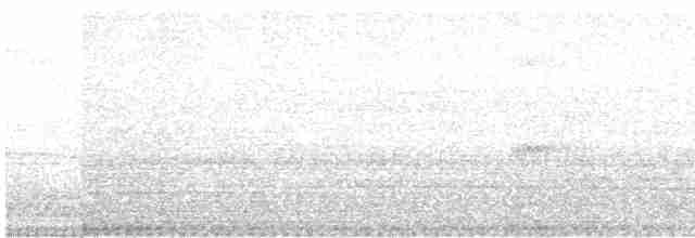 Серый петух - ML617086716