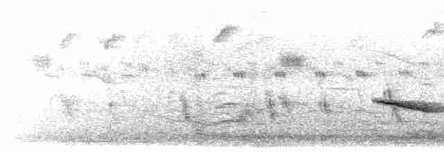Alaca Kanatlı Çalı Bülbülü - ML617088166