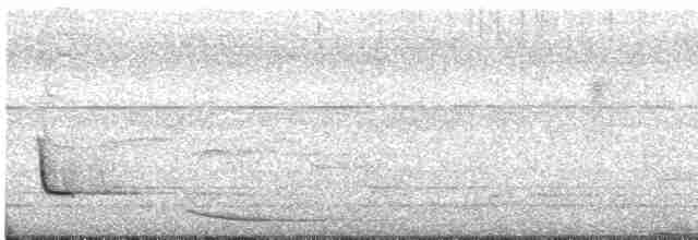 Sonnerat Yaprakkuşu - ML617091082