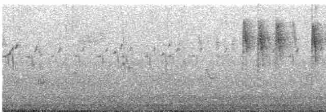 Gray Wagtail - ML617091823