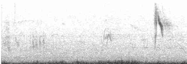 Берингийская жёлтая трясогузка - ML617091830