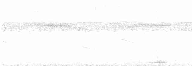Белый дятел - ML617093593