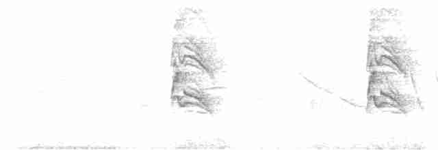 Красноклювая древесная утка - ML617095736