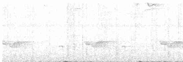 Серогрудый крапивник - ML617096952