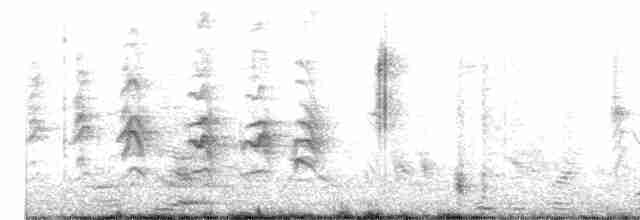 白胸燕鵙 - ML617099134