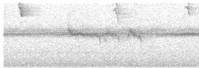 Гвианский иглохвост (cinereiventris) - ML617099754