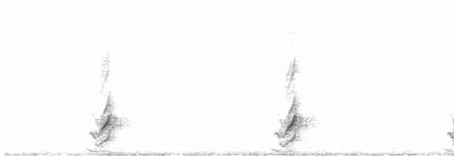 斑胸秧雞 - ML617102204
