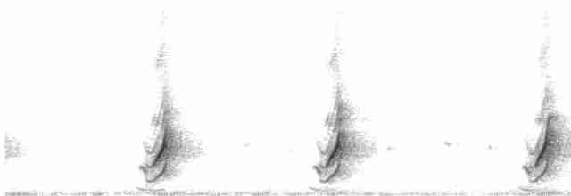 斑胸秧雞 - ML617102205