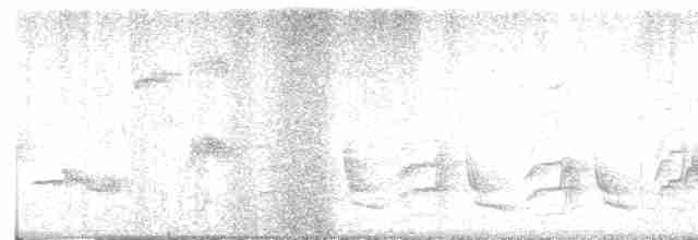 Кактусовый пересмешник - ML617103990