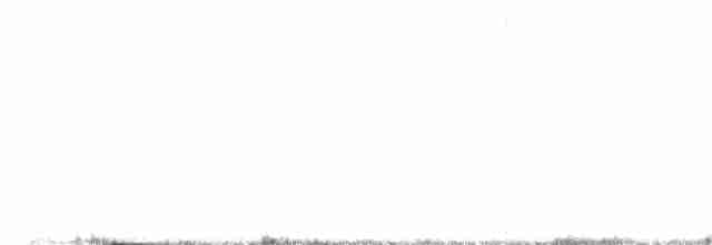 Короткопалый хохлатый жаворонок - ML617107690