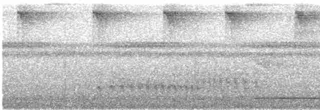 holub safírový - ML617109258