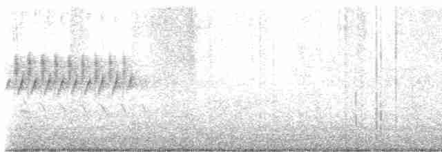 Юнко сірий [група oreganus] - ML617110464