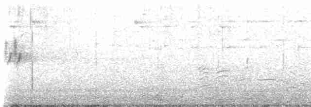 Kara Gözlü Junko [oreganus grubu] - ML617110503