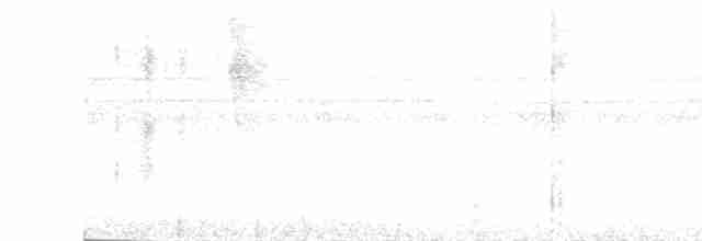 White-throated Shrike-Tanager - ML617111065