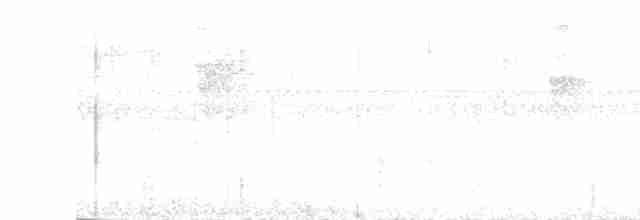 White-throated Shrike-Tanager - ML617111079