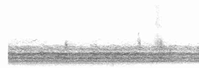 Малая канадская казарка (minima) - ML617111528