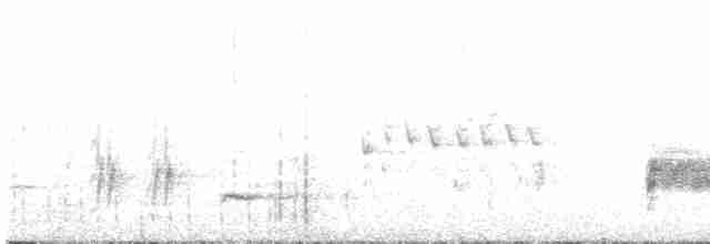 Rotsteiß-Spottdrossel - ML617111681