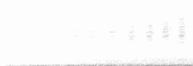 Vireo Ojiblanco - ML617113110
