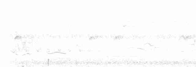 Cinereous Tinamou - ML617113950