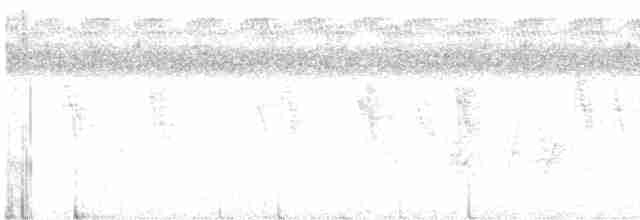 Saipan Reed Warbler - ML617113988