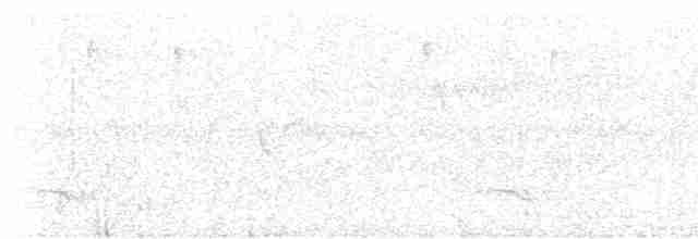 Toucan vitellin - ML617114381
